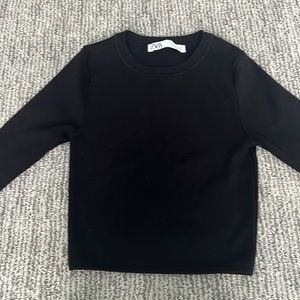 Zara Long Sleeve Crop Top
